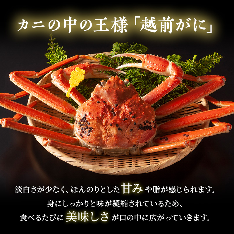 【年内届け】【訳あり】 茹で越前ガニ【期間限定】 約600g～700g未満×1杯 脚折れ 蟹 かに 越前がに 越前ガニ ズワイガニ ずわい蟹 ずわいがに 魚介 魚介類 海鮮 訳アリ 福井県 福井