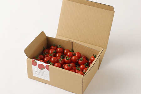 【先行予約】 完熟ミニトマト『Ricotomato』 【1kg×3回定期便】 【2023年12月から出荷】 E-68