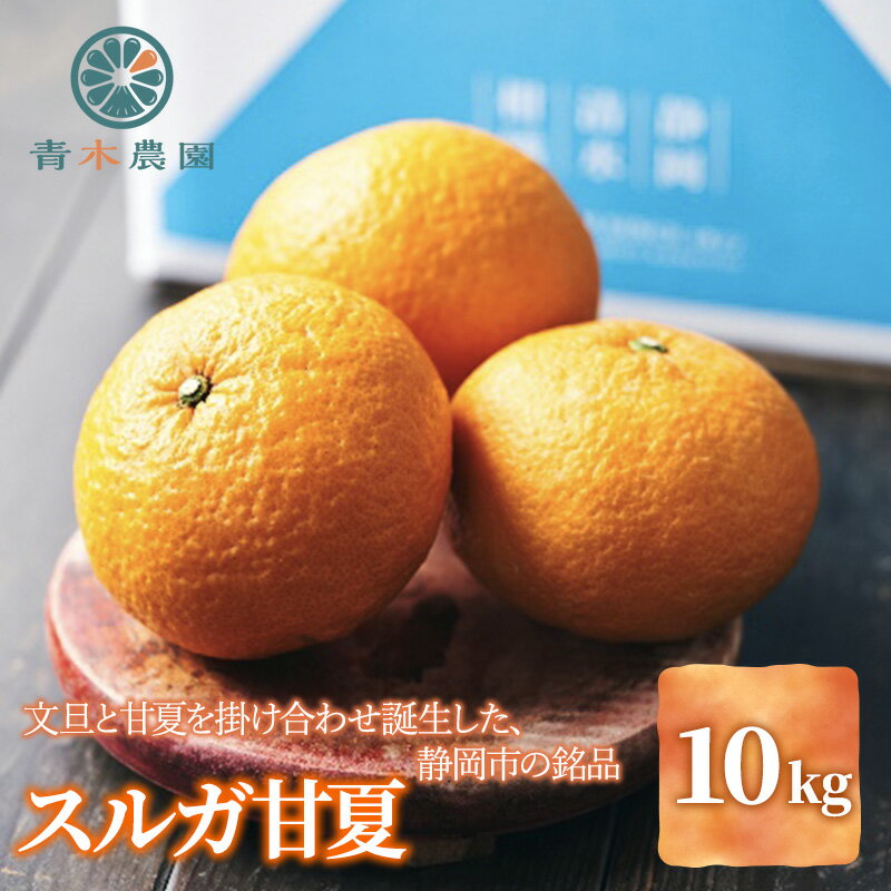 【ふるさと納税】【2026年3月下旬より順次発送】青木農園 スルガ甘夏 10kg【配送不可：離島】◇ | 果物類・柑橘類・フルーツ・スルガ甘夏・ミカン・みかん
