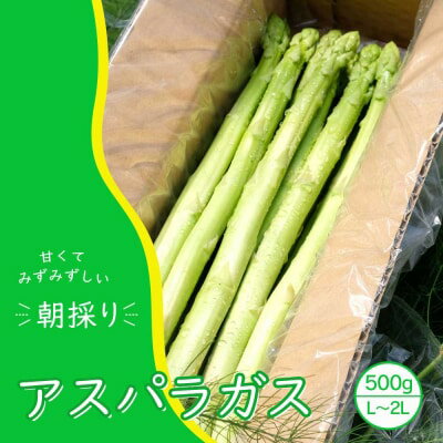 【ふるさと納税】【先行予約】発送2025年4月 アスパラガス 小郡産 朝採りアスパラガス 500g (L、2Lサイズ混) 野菜 永利農園 　お届け：2026年10月末まで