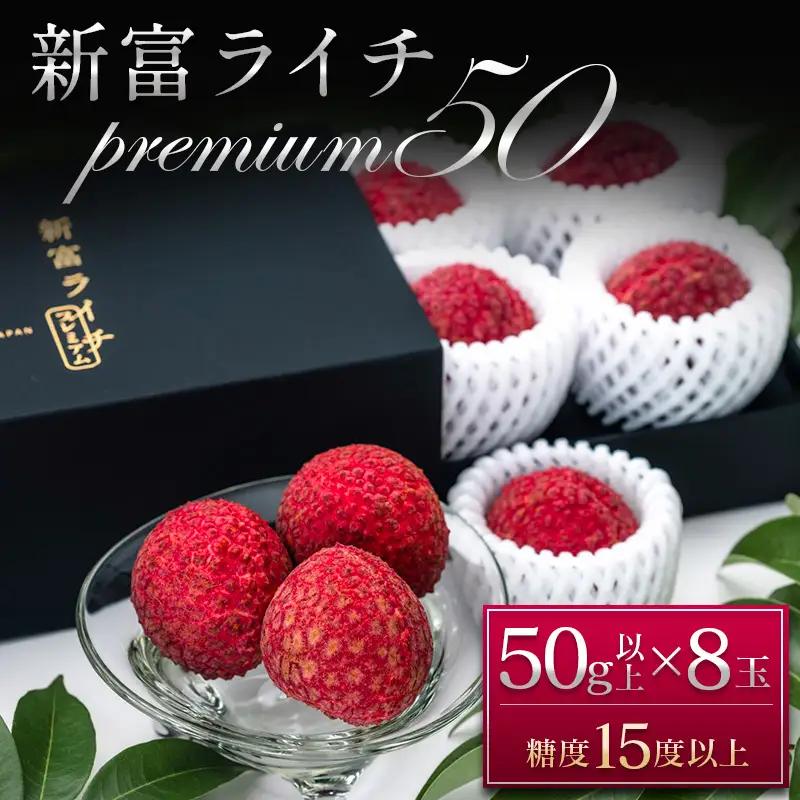 ［2027年発送］先行予約 希少！国産＜新富ライチpremium50＞50g以上×8玉 国産 ブランド フルーツ 果物 贈答品【C52-27】