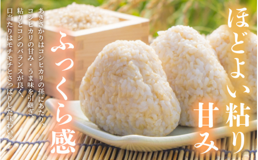 あきさかり 5kg 令和6年 新米 福井県産 コシヒカリ系統品種【玄米】【お米 アキサカリ 5キロ】 [e30-a072]