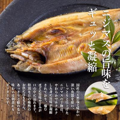 ふるさと納税 高原町 奥霧島の山河の恵み ニジマスの干物[晩酌 朝食 ギフト お土産] TF791