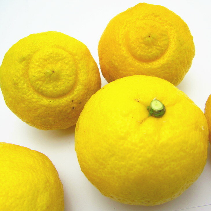 【ふるさと納税】 ＜1月下旬〜＞【先行予約】【人気柑橘】有田育ちの はるか みかん（訳あり 家庭用）約1kg 約3kg 約4kg 約5kg 約8kg 約10kg ※2026年1月下旬〜3月下旬頃に順次発送予定