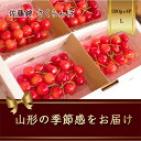 【ふるさと納税】 さくらんぼ 佐藤錦 200g×4パック Lサイズ【2025年6月発送】 FSY-1167