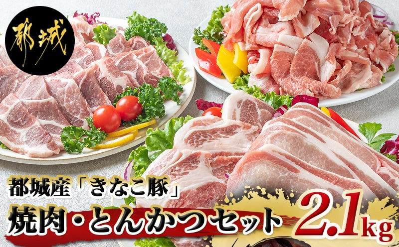 
「きなこ豚」焼肉・とんかつセット 計2.1kg_MJ-1204_(都城市) ブランド豚 豚カツ用 トンカツ用(ロース / 肩ロース) 焼き肉用 (豚バラ / 豚肩ロース) 切り落とし 小間切れ
