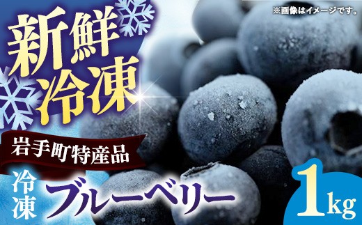 
                  ブルーベリー 冷凍 1kg 完熟 冷凍ブルーベリー 急速 冷凍 新鮮 人気 小分け パック 1kg フルーツ 果物
                