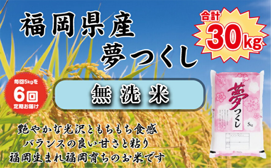 【ふるさと納税】【令和7年産新米先行予約】【定期便6か月】【無洗米】食味鑑定士厳選　 福岡県産夢つくし5kg（5kg×1）6ヶ月連続で！　計30kg_BZ-011