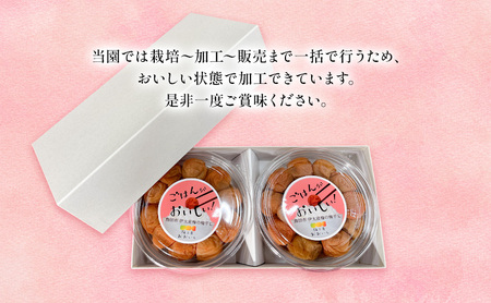 【定期便6ヶ月】八房梅使用 ごはんがおいしい！白干し梅 500g×2パック 梅干し うめぼし 白干し 塩漬け おにぎり 弁当 島田市 静岡県
