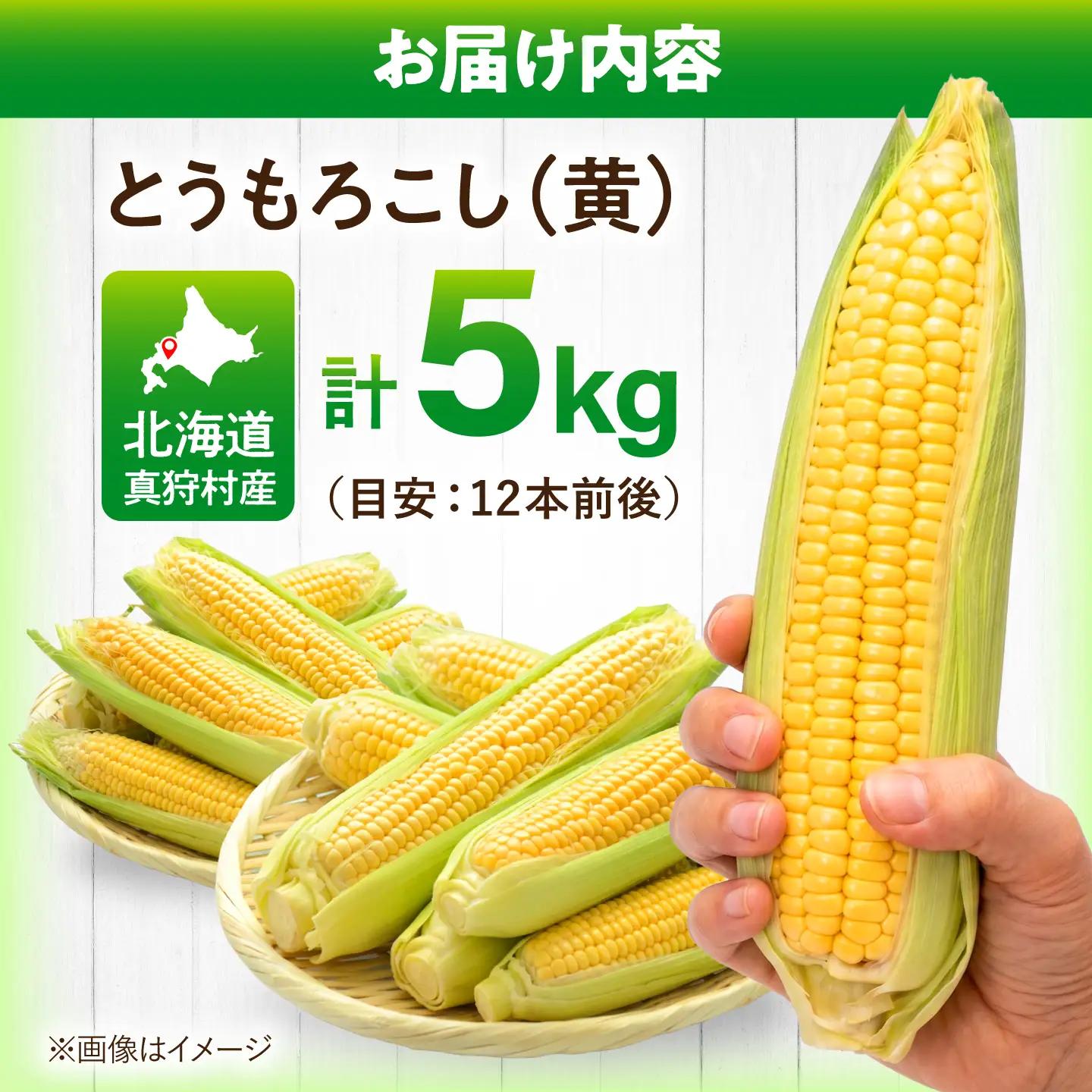 【先行予約】とうもろこし 黄 5kg  [BPAM020] とうもろこし