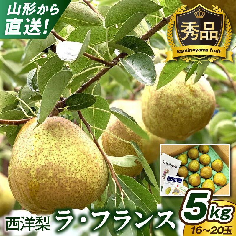 【ふるさと納税】西洋梨 （ ラ・フランス ） 5kg 16~20玉 3L～L サイズ 秀品 果物 フルーツ お取り寄せ 送料無料 産地直送 山形県 上山市 0079-2618