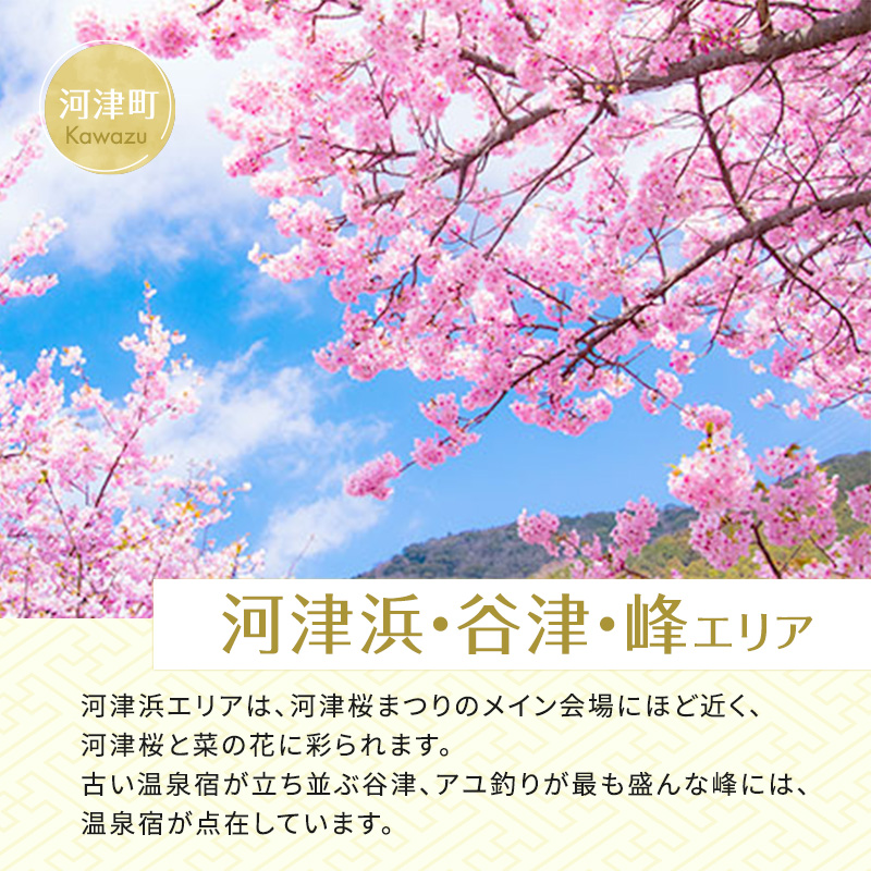 たっぷり河津旅宿泊補助券（30，000円）