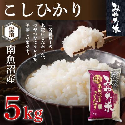 ふるさと納税 南魚沼市 【令和8年産新米予約】南魚沼産こしひかり　みやた米5kg　新潟県南魚沼市