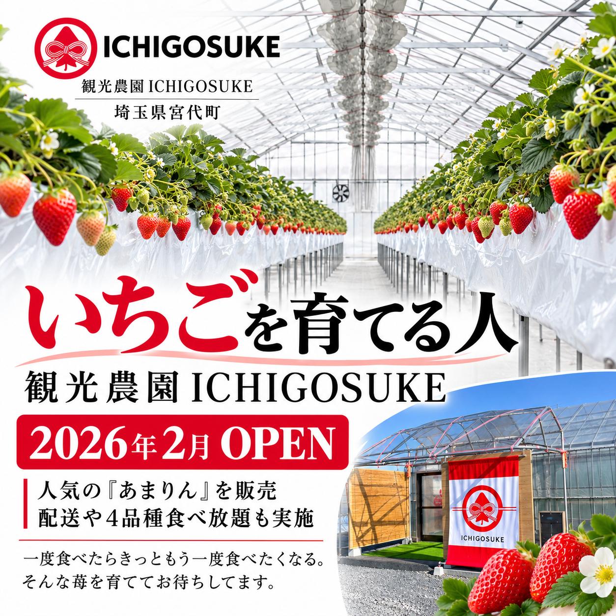 いちご狩り体験 大人1名・2名・子供1名・2名 チケット 都内から約1時間 東武動物公園すぐ 埼玉県 宮代町 