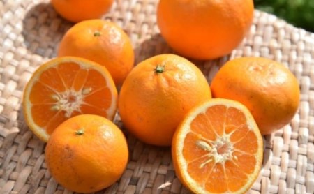 はれひめ　約5kg 果物類 柑橘類 フルーツ みかん ミカン 