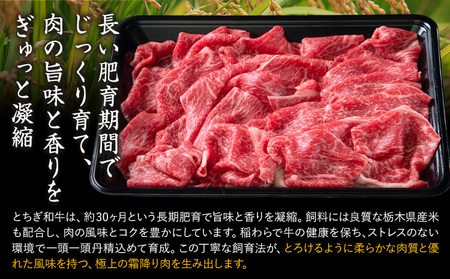 黒毛和牛 とちぎ和牛 焼肉　切り落とし A4～A5等級 霜降り 赤身 ステーキ 極上 900g 数量限定 牛肉 冷凍 《30日以内に出荷予定(土日祝除く)》 冷凍庫 個別 1kg以内 1kg以上 ブラ