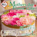 【ふるさと納税】【季節限定商品】【先行予約】フラワーケーキL Mothers day Flower Gift 花ギフト 生花 ＜母の日ギフト＞ ※2025年5月6日～9日の間にお届け / 母の日 プレゼント サプライズ 人気店 おしゃれ かわいい 花 アレンジメント ギフト メッセージカード付