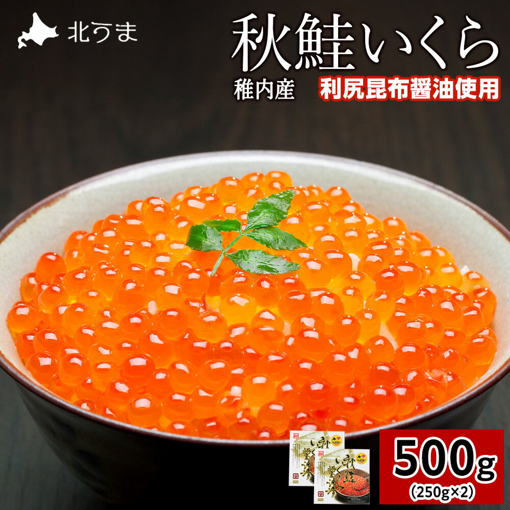 【ふるさと納税】【宗谷海峡産】秋鮭いくら醤油漬け250g×2 いくら イクラ 魚卵 海鮮 魚介 秋鮭 醤油漬け 鮭 小分け 便利 250g 北海道 国産 産地直送 送料無料 人気 お取り寄せ おすすめ 天然 贈答 ギフト グルメ 宗谷海峡 冷凍 【配送不可地域：離島】