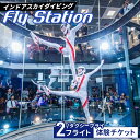 【ふるさと納税】No.041 FlyStation　2フライト/タクシーフライ体験チケット ／ インドアスカイダイビング スポーツ 室内 次世代型アトラクション 最大時速360キロメートル 無重力体験 送料無料 埼玉県