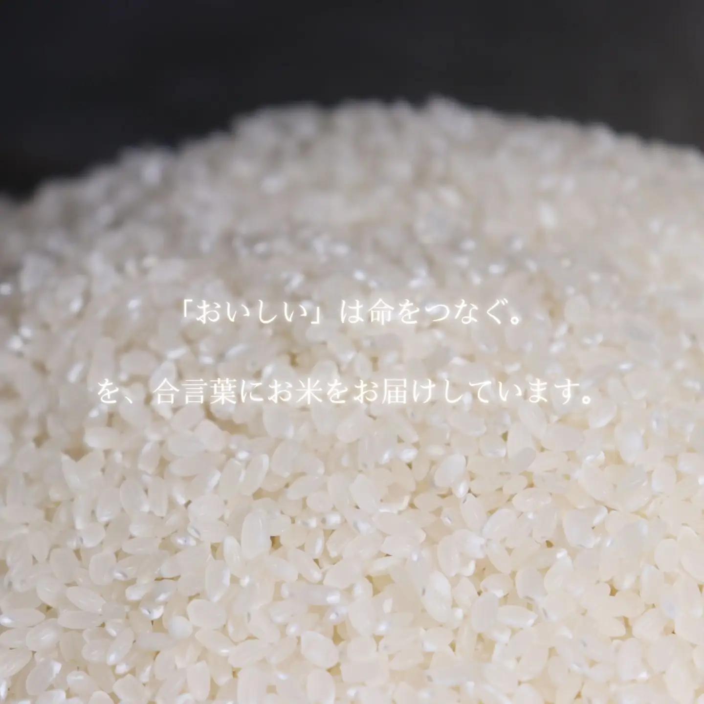【令和8年度産】鳥取県産きぬむすめ白米5kg【数量限定】_T2600442