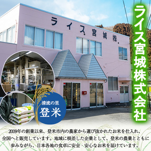 【令和7年度産】 ひとめぼれ 無洗米 10kg (5kg×2袋) 和紙袋仕様 お米 おこめ 米 コメ 白米 ご飯 ごはん おにぎり お弁当 【ライス宮城株式会社】tm298