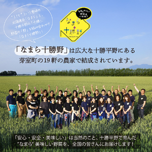 北海道十勝芽室町 なまら十勝野の季節のおまかせ野菜セット（夏） me001-009c