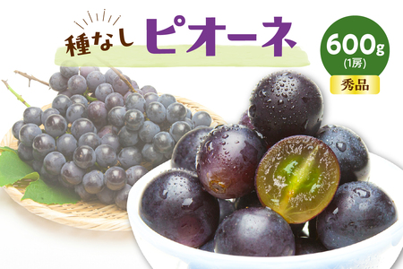 ぶどう ( 種なし ピオーネ ) 600g フルーツ 果物 山形