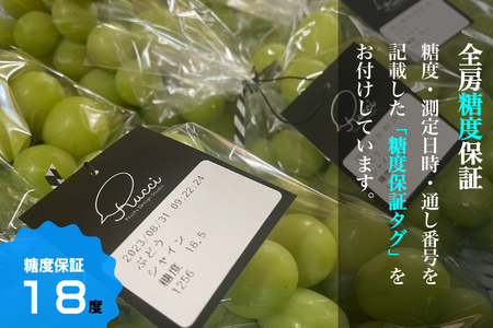 【糖度18度保証付】シャインマスカット 約1.1kg 2～3房 FN-Limited 104-003-FN | 【2025年発送】＜数量限定＞旬の美味しいフルーツだけをお届けします【ルッチ Rucci