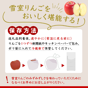 雪室りんご　 サンふじ約2kg（6～10個程度）【2025年3月上旬～下旬 順次発送】青森雪室りんご 青森 りんご 林檎 リンゴ 2キロ 青森 五所川原 雪室 に 貯蔵した りんご