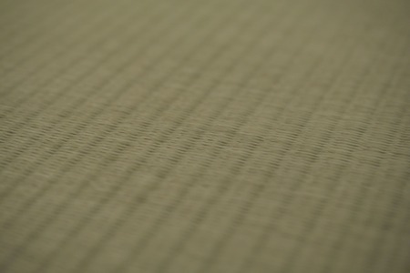 半畳 へりなし置き畳 1枚 畳増 滋賀県 東近江市 E22 半畳 へりなし 置き畳 畳 ユニット畳 フローリング 和室 和モダン インテリア リフォーム 簡単 設置 汚れにくい 人工畳表 国産 日本製