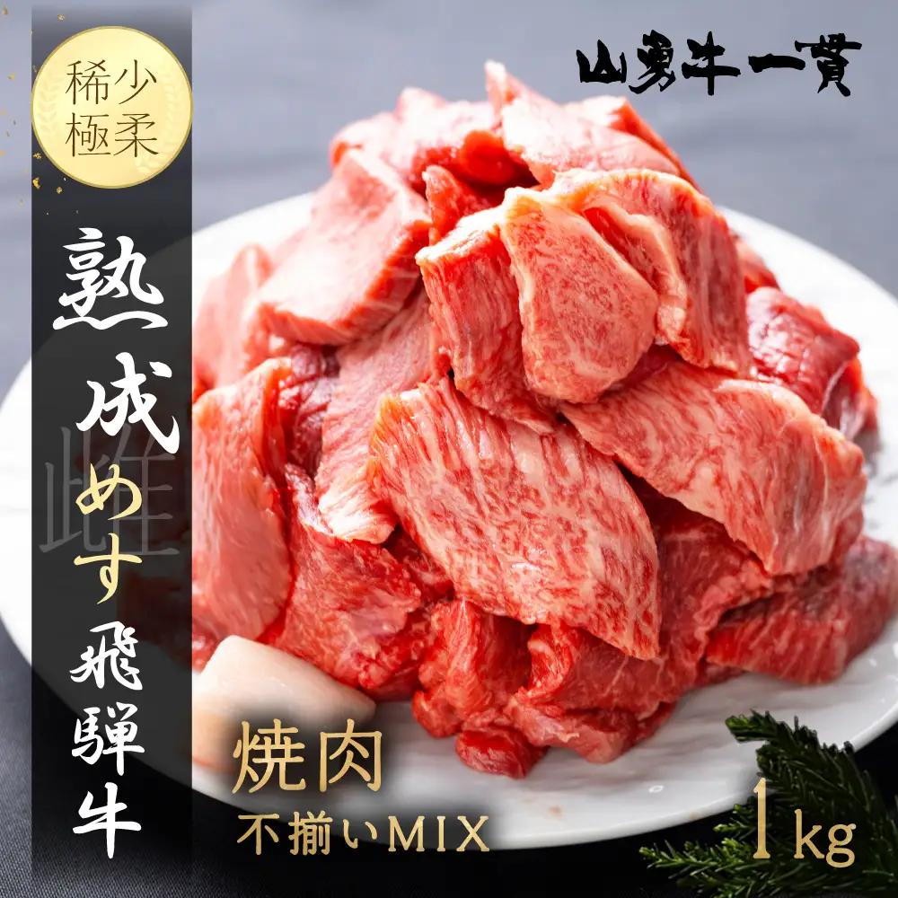 熟成飛騨牛『山勇牛』焼肉 切り落とし 1kg 切落し BBQ バーベキュー 不揃い 訳あり 訳アリ わけあり ミックス 希少部位入り A4・A5ランク 飛騨牛