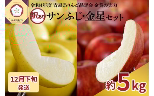 【2025年12月下旬発送】【訳あり】 りんご 青森産 約5kg サンふじ 金星