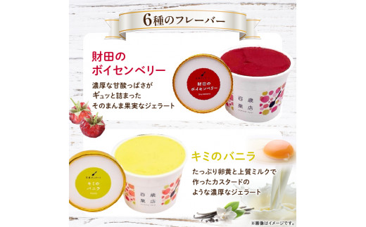 M138-0001_【ふるさと納税】ここのときジェラート 6点セット ジェラート セット 食べ比べ 味比べ アイス アイスクリーム 氷菓子 氷菓 バニラ ボイセンベリー モリンガ コーヒー チョコレー