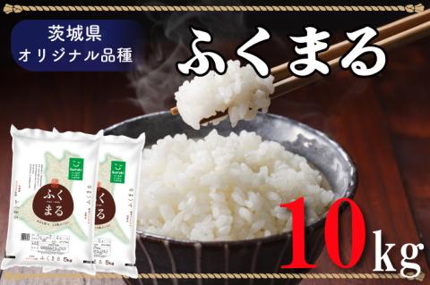 AL011 令和5年産米！際立つ粒の大きさ！ふくまる （10kg）