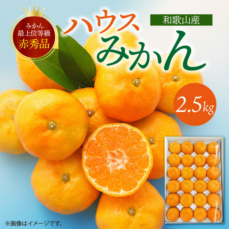 【ふるさと納税】紀州和歌山 ハウスみかん 2.5kg 赤秀品 有田みかん 温州みかん ビニールハウス ミカン 濃厚 甘み 夏みかん 完熟 糖度 高い 青果 果物 果実 デザート フルーツ 果肉 果汁 やわらかい とろける お取り寄せ 贈答品 和歌山県 お取り寄せフルーツ 湯浅町 送料無料