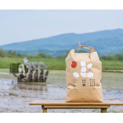 ふるさと納税 深川市 北海道産 特別栽培米ゆめぴりか 玄米5kg×2袋