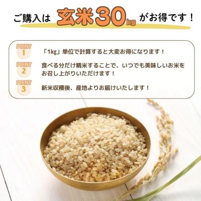 ふるさと納税 比布町 令和7年産 ゆめぴりか玄米 10kg【農業生産法人ノウリエ】米 お米 北海道産 北海道米 特Aランク |  | 03