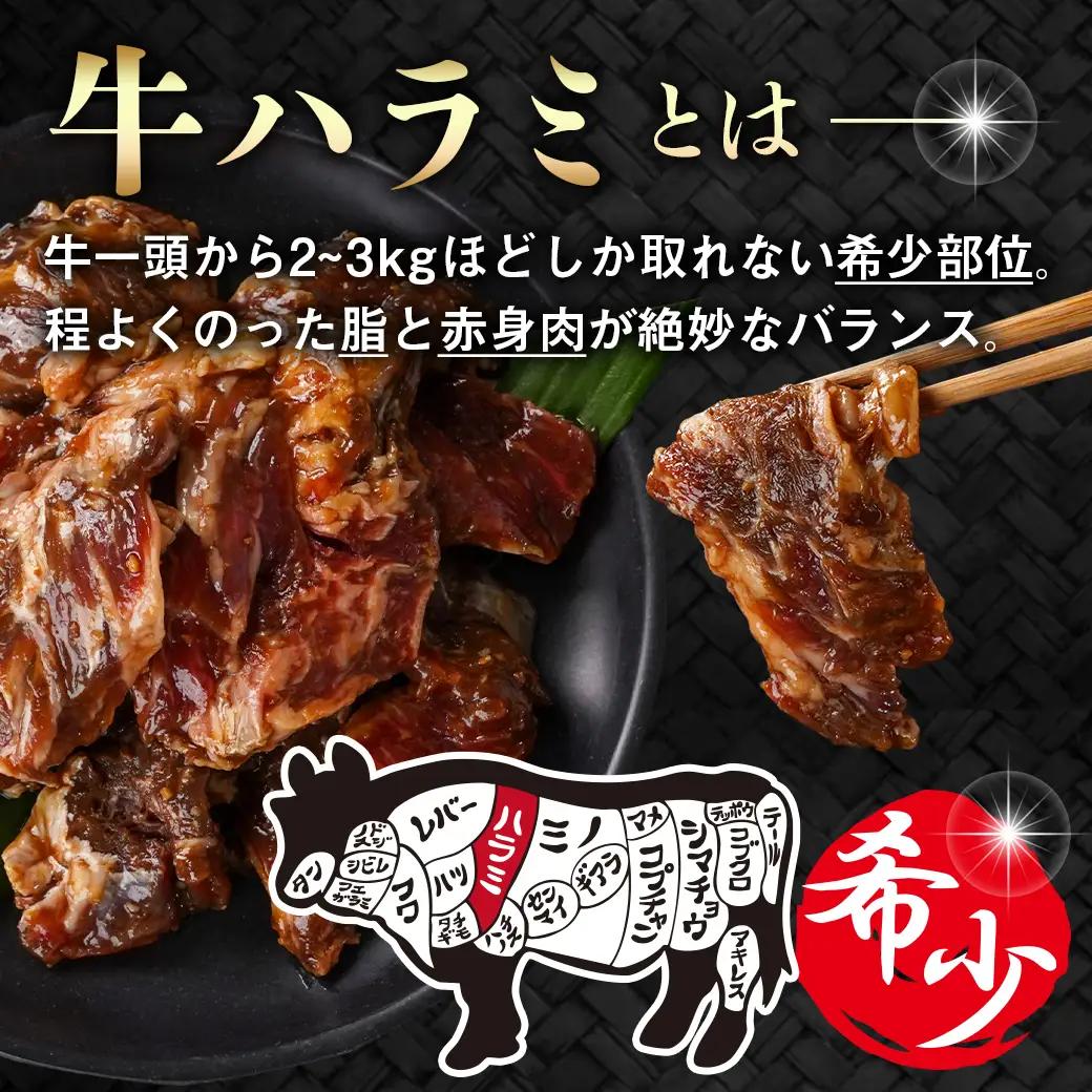 牛ハラミ タレ漬け900g≪みやこんじょ特急便≫〔LG8J-33-024-900g-Q〕_(都城市)  味付き 牛肉 真空 小分け