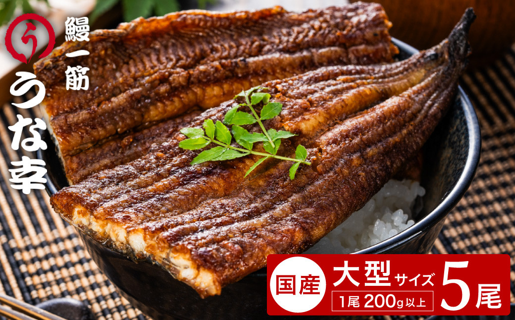 
            鰻一筋「うな幸」のふわとろ蒲焼き【“国産”特大５本入り】たれ付き
          