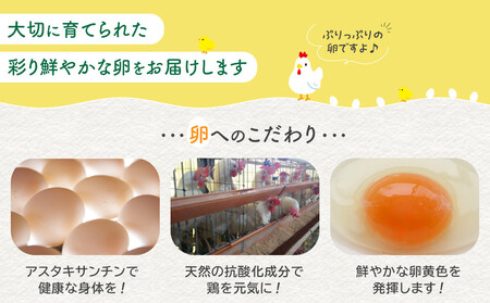 おおえだファーム アスタキサンチン卵（白卵）Lサイズ 50個入り