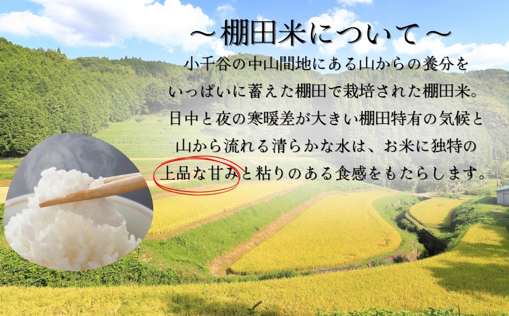 令和7年産 魚沼産コシヒカリ 棚田米 精米30kg(5kg×2袋×3回)定期便隔月発送【0002-RC08DB00-01】
