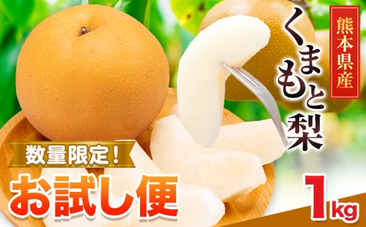梨 くまもと梨 お試し 1kg 2玉～5玉 秋 旬 なし 幸水 豊水 果物 くだもの フルーツ  送料無料 あきづき 甘太 新高 新興 品種 熊本県産【着日指定不可】《8月下旬-11月中旬頃出荷》旬 果物 お取り寄せ ナシ