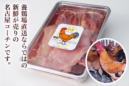 純系名古屋コーチン 定期便 (半羽×6回)【0872】
