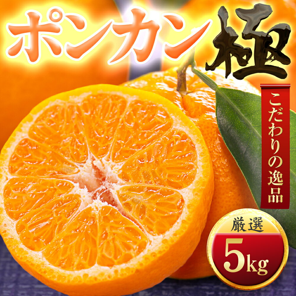 【ふるさと納税】【太陽をたっぷり浴びた】ポンカン【極】4kg／5kg／10kg_みかんミカン蜜柑ポンカンぽんかん果物くだものフルーツデザートおいしい甘いかんきつ柑橘愛媛八幡浜市産地直送送料無料 YWTZ047