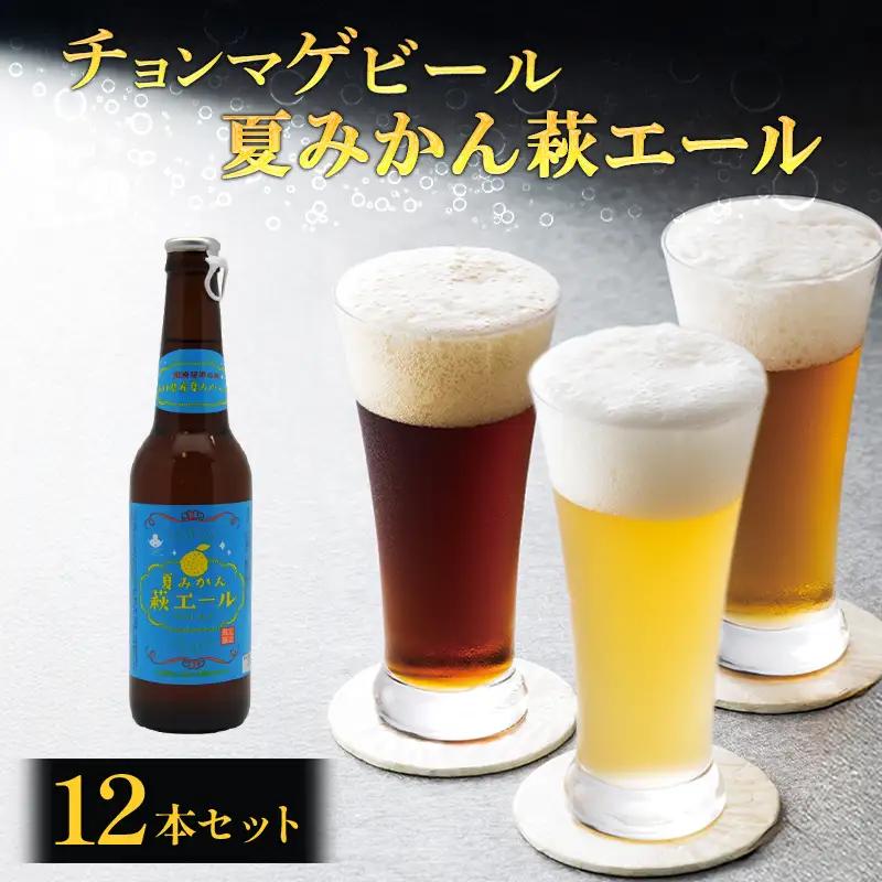 城下町・萩の地ビール／夏みかん萩エール12本セット