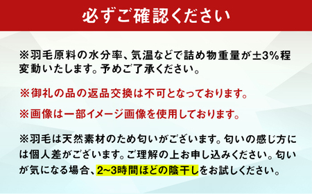 【訳あり】筑後七国羽毛ふとん セミダブル 羽毛1.0kg 無地アイボリー 広川町 / ヒラモリ株式会社[AFAO032]
