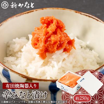 ふるさと納税 大牟田市 辛みなと漬け(約250g)