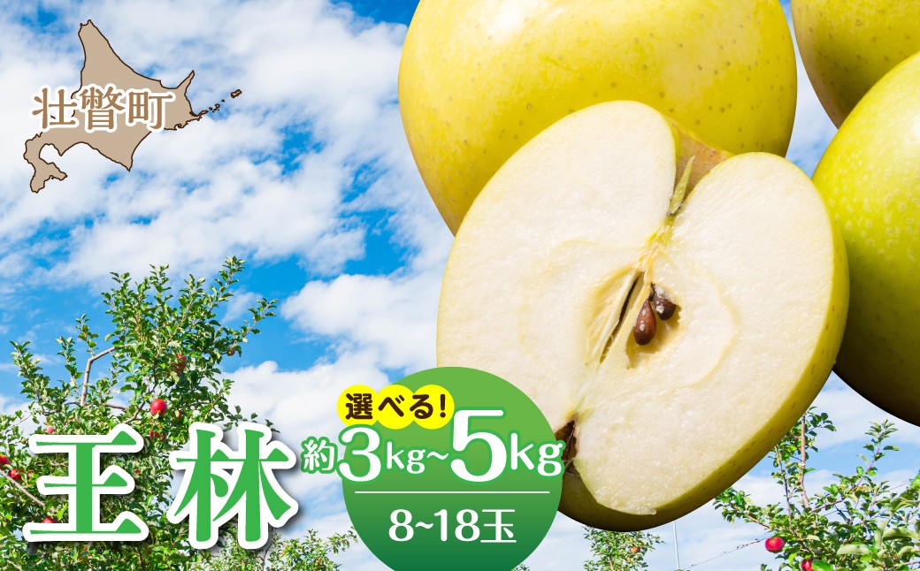 
                  【先行予約】北海道壮瞥町産りんご「王林」選べる内容量　8～18玉 約3kg・5kg ＜2026年11月中旬よりお届け＞【ふるさと納税 人気 おすすめ ランキング りんご リンゴ 林檎 おうりん 甘い 蜜入り ジュース 酢 送料無料】 SBTF024
                