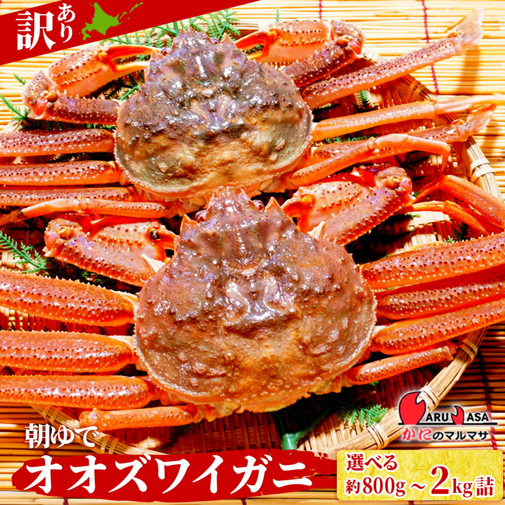 【ふるさと納税】送料無料 北海道産【 朝ゆで 】訳ありオオズワイガニ 選べる800g詰～2kg詰 道産品 オオズワイ蟹 オオズワイカニ おおずわい蟹 規格外品 不揃い 訳アリ 訳有り北海道 ふるさと納税 北海道 千歳市 【北海道千歳市】