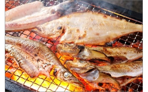 間人港 瞬冷ひもの Bセット（4人用） 平七水産